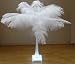 Lot 12 with 240 Large Deluxe Bleach WHITE Formal Ostrich Plume Feathers 44" Wide Centerpiece-Tower Vase-14/24" long Ostrich Feathers