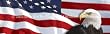 Window Graphic - 16x54 US Flag 1 with Eagle for Slider Windows Window Graphics Patriotic