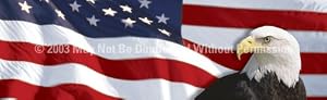 Window Graphic - 16x54 US Flag 1 with Eagle for Slider Windows Window Graphics Patriotic