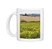 Photo Mugs of Field of sunflowers in the Tuscan landscape, Tuscany, Italy, Europe from Robert Harding
