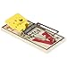 Victor Easy Set Mouse Trap 4 Pack M033 - Wooden Easy Set Mouse Trap - Prebaited