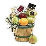 Bountiful Fruit