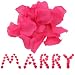 1000 Fuchsia Hot Pink Silk Rose Petals Wedding Flower