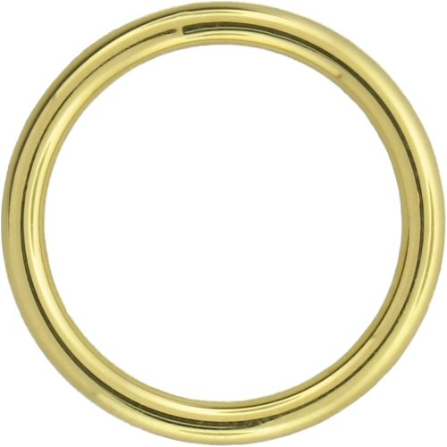 Single 14K White Gold Segment Ring: 10g 3/4
