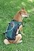 H20 On The Go Hydration System Dog Pack, Portable Water and Gear Pack (MEDIUM)