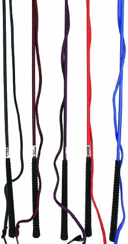 WEATHERBEETA USA 983606 ROMA LUNGE WHIP PURPLE 66 INCH