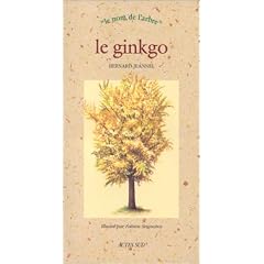 Le ginkgo