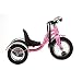 Schwinn Roadster 12