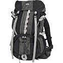 Wenger Mt. Generoso Technical 4200 Cubic Inch Internal Frame Backpack (Dark Green/Taupe/Black)