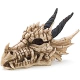Snarling Magical Dragon Skull Treasure Trinket Box