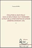Evolution du silex taill� dans le n�olithique haut-Rhodanien autour de la stratigraphie du Gardon (Amberieu-en-Bugey, Ain) : 3 volumes, Textes, Planches et annexes, Fiches de sites