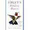 Birding in California and beyond