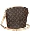 Louis Vuitton Monogram Canvas Drouot Handbag