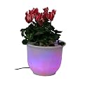Color-Changing LED Flower Pot - White