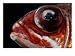 A Squirrelfish with Eye Disease Subject Photographic Poster Print by George Grall, 16x12