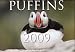 Puffins 2009 Image