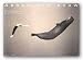 Gregory Colbert with Whale by Gregory Colbert 36