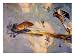 World War I Air Battle Between American and German Figher Planes, 1918 Giclee Poster Print, 12x9