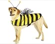 Dog Costume - Bumble Bee Dog Halloween Costume - X-Small (XS)