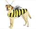 Dog Costume - Bumble Bee Dog Halloween Costume - X-Small (XS)