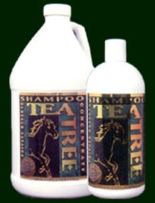 Tea Tree Shampoo Quart 12