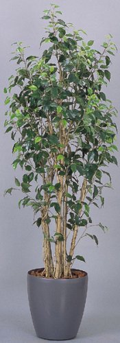 光触媒アートフラワー　ワイルドベンジャミンＡ４１０３－４００　