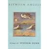 Between Angels: Poems