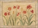 Pimpernel Amaryllis coasters - set of 6