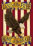 Land of the Free Mini Flag