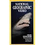 National Geographic's Shark Encounters