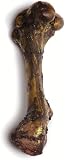 Monster Bone - Large