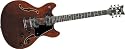 Schecter Corsair Electric Guitar  Gloss Black