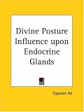 Divine Posture Influence upon Endocrine Glands