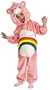 Care Bears Toddler Costume: Cheer Bear Size 2- 4