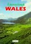 A Journey Through Wales (Regional & city guides)