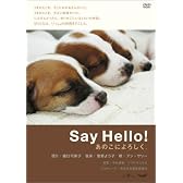 Say Hello! あのこによろしく。 [DVD]
