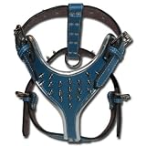1 1/4" Spiked Blue Leather Harness w/ Silver Round Edges - Medium (Fits neck size 17"-24") (Body size 27"-33")