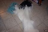 20 X 10 Custom Gill Seine Fish Net 2 Inch Mesh