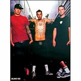 Blink 182 - Posters - Import