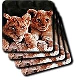 Wild animals - African Lion Cubs - Coasters