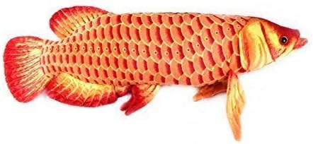 Plush Toy Stuffed Animal - Gold Fish Arowana 26" (67cm)