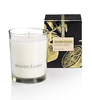 Clementine Juniper Scented Candle
