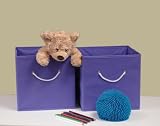 Sourcing Solutions 2-Piece Folding Storage Bins Set, Lavender with White Rope Handles