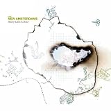 The New Amsterdams - Story Like a Scar