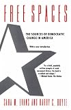 Free Spaces: The Sources of Democratic Change in America