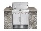 Weber Summit S-440 4-Burner Natural Gas Grill - Built In