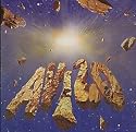 Avizo