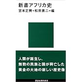新書アフリカ史 (講談社現代新書)