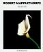 Robert Mapplethorpe �Zehn mal Zehn / Ten by Ten. Photographien�