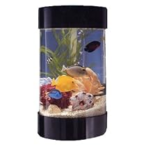Midwest Tropical AquaRound Aquarium 8 gal.